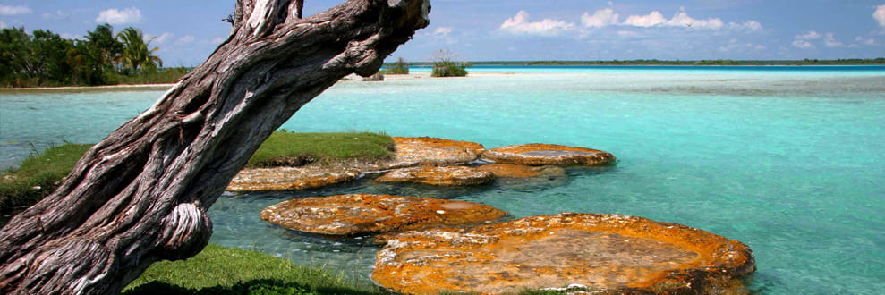 BACALAR